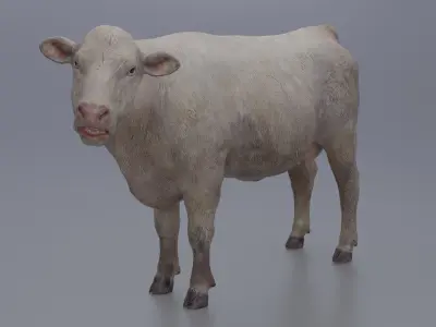 Cow-cattle Low-poly 3D model