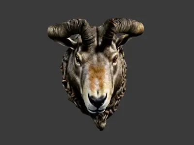 Animal Head Low-poly 3D model 7