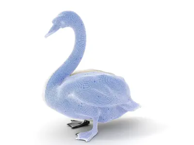 Elegant Swan D Model Pack for Detailed Rendering Low-poly 3D model