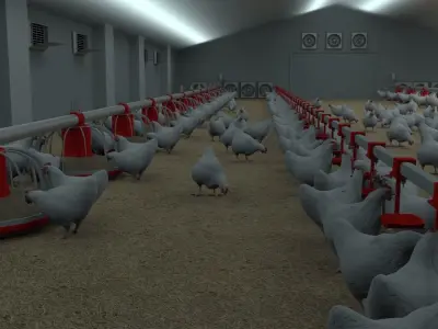 Poultry farm with rigged and animated chickens 3D model