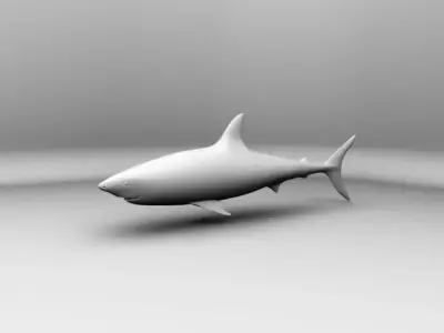 Shark Model Free 3D model purchase