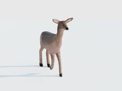 Realistic Deer with Fur Low-poly 3D model
