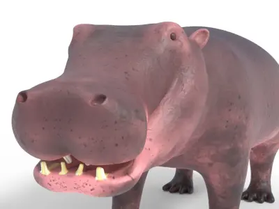 3D Hippopotamus Model Low-poly 3D model
