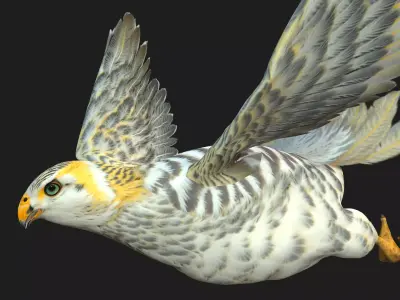 Kestrel B7 Free 3D model