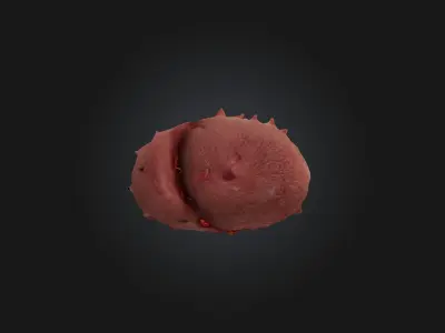 Infected Spleen Low-poly 3D model