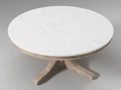 Pottery Barn - Alexandra 39inch Round Marble Coffee Table 3D model