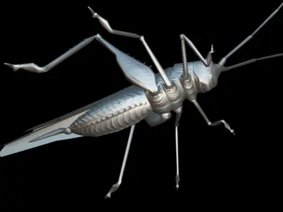 Grasshopper Animals  Low-poly 3D model