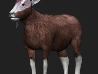 Goat fully rigged low polygon Low-poly 3D model