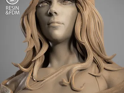 Wicked Marvel Electra Portrait Bust 3D print model purchase