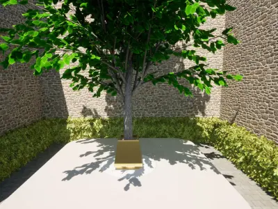 SOLID Free 3D print model