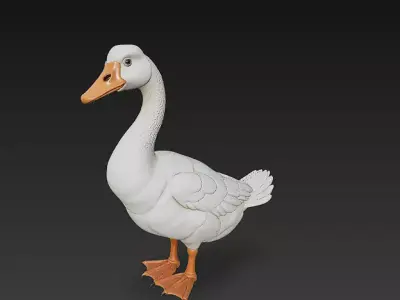 Duck White 3D Model Basic - Low Poly Simple Low-poly 3D model