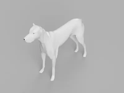 Dog 3D Model great dane 3D model