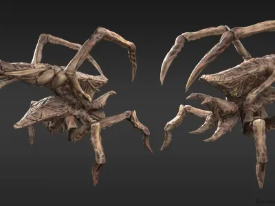 Arachnid group of spiders Low-poly 3D model