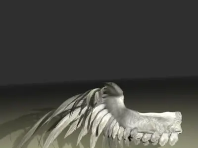 Bird Angel Wing 3D model
