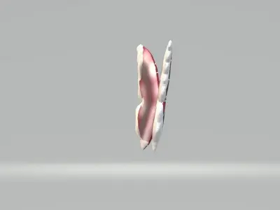 Red Black Butterfly 3D model