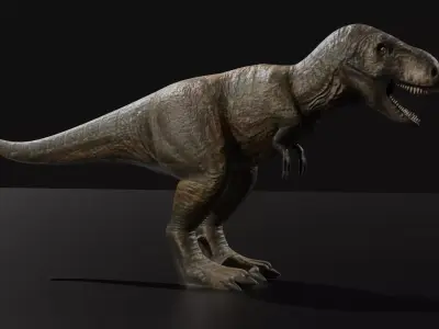 tyrannosaurus rex dinosaur 3d model  3D model