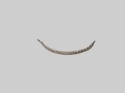 Hyena Tail Model Low-poly 3D model