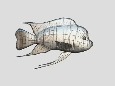 Frontosa Realistic Animated Low-poly 3D model