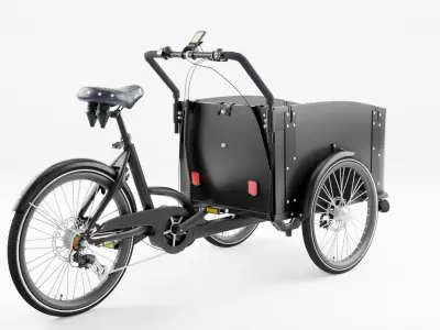3D Model of Cargobike DeLight Dog Low-poly 3D model