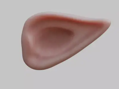 Stylized elf ear Low-poly 3D model