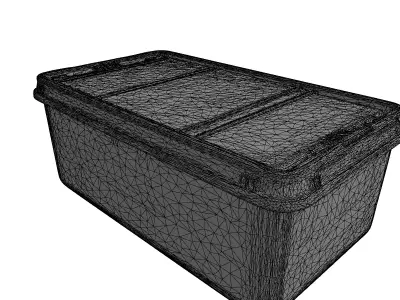 Storage Box with Cardboard Insert Low-poly 3D model