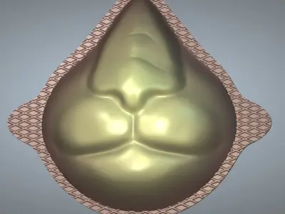 CUBREBOCA CARA DE LEON Free 3D model