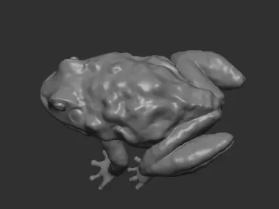 FROG model Low-poly 3D model