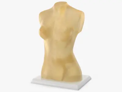 Ballistic Gel Dummies Collection 3D model