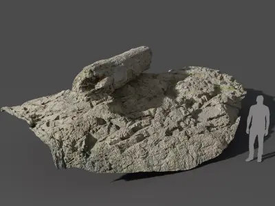  Giant Log Beach Rock Model  purchase