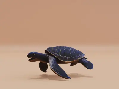 Turtle Sea with its sturdy shell Swimming Low-poly 3D model