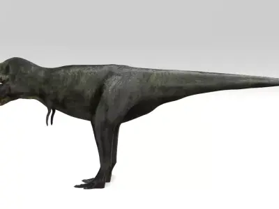 T-rex t - rex dinosaur 3D model buy