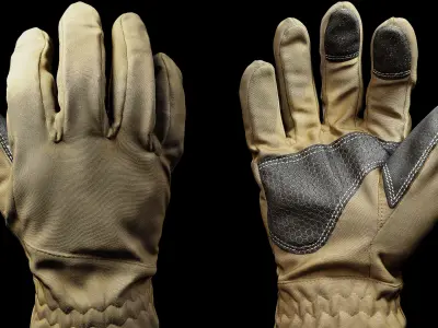 Winter Gloves 006 Low-poly 3D model