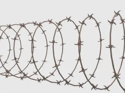 Barbed Wire   3D model