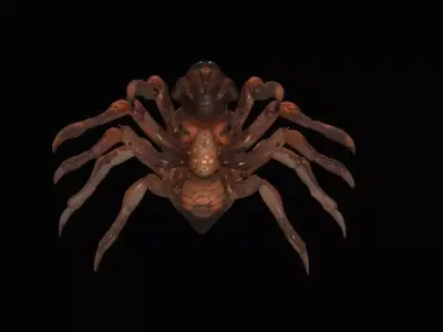 Spider 3D model 13