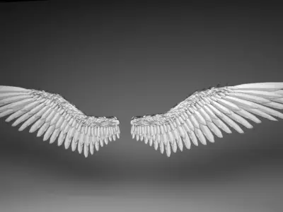 Angel Wings Version 2 3D model