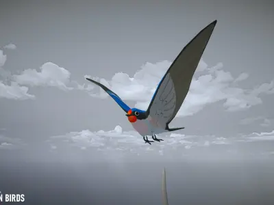 Cartoon birds - big animation pack 3D model
