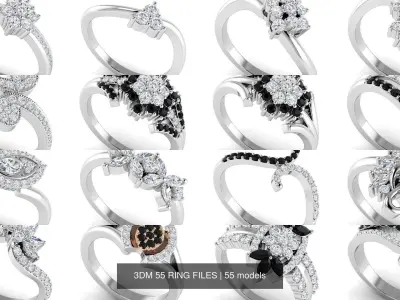 3DM 55 RING FILES 3D Model Pack