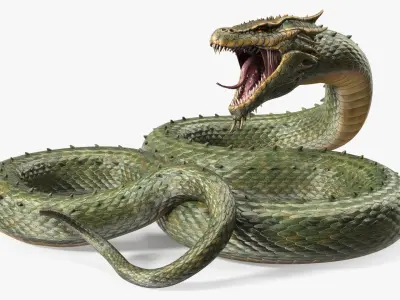 Aggressive Serpentine Dragon 3D model
