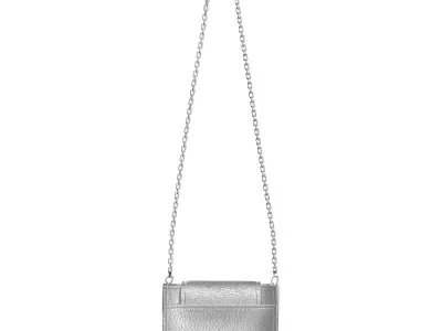 Silver Leather Mini Cross Bag 3D model