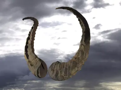 Dragon Horns 3D 3D model