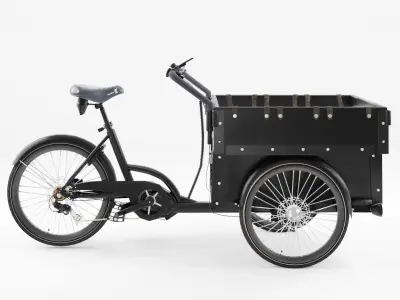 3D Model of Cargobike DeLight Kindergarden Low-poly 3D model