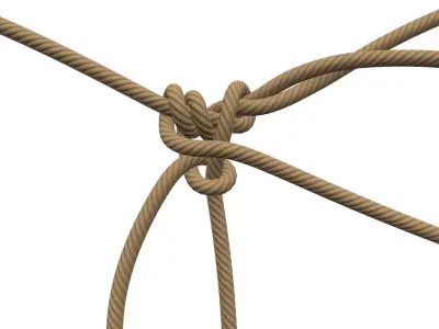 Rope Knot 3D model