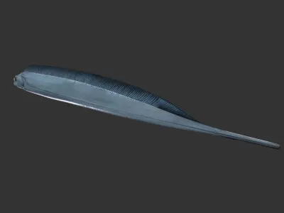 Sea Eel Low-poly 3D model