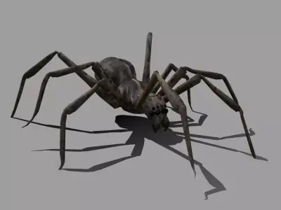 Spider Low-poly 3D model get