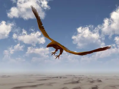 Golden Eagle Low-poly 3D model