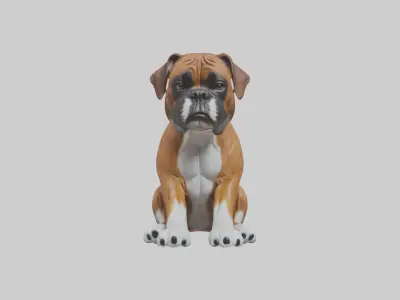 Sitting Boxer model Low-poly 3D model