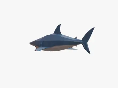 Shark low poly Low-poly 3D model