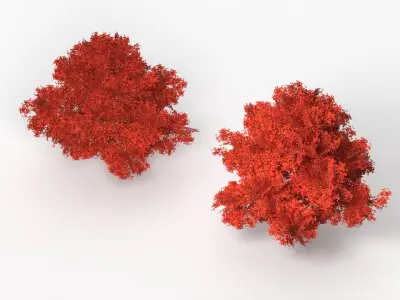  Lowpoly Red Oak Forest Tree 
