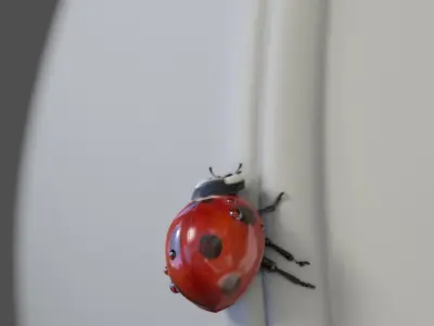 Ladybug (Animated) (V-Ray Fur) 3D model