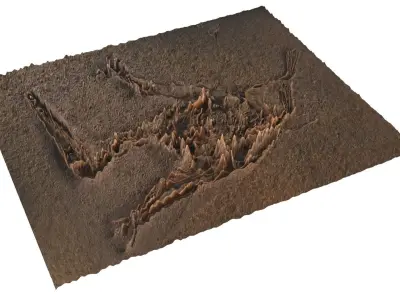 Pterodactyl Fossil 3D model